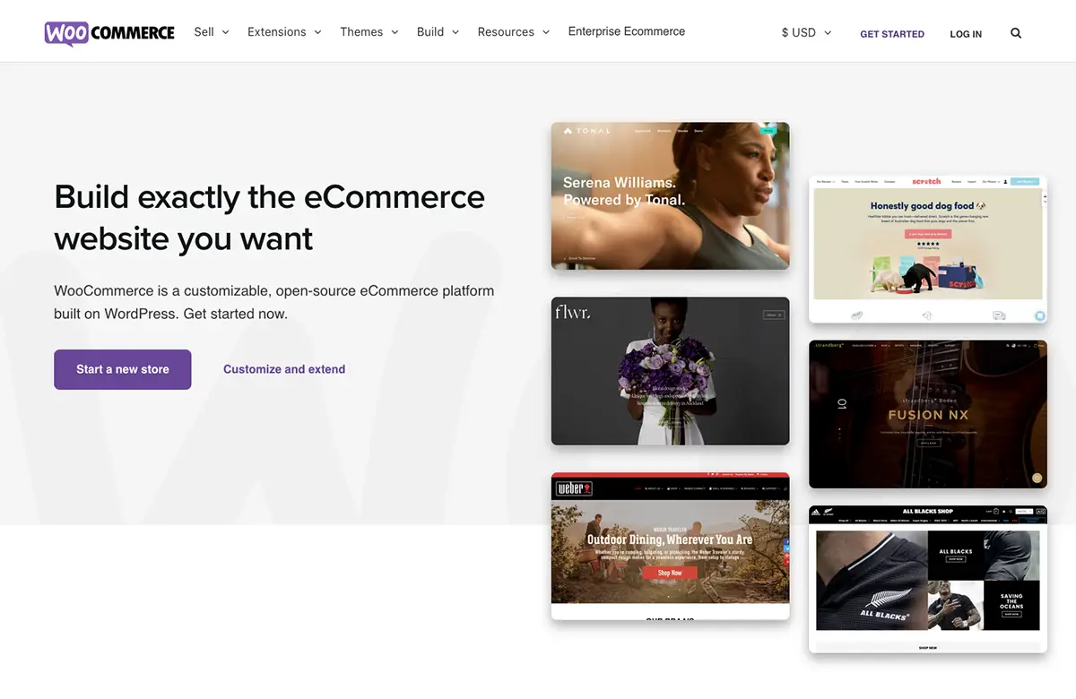 WooCommerce vs Etsy | Screen shot of the homepage for the WooCommerce plugin - Juan Rojo Design Toronto